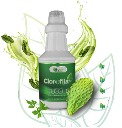 CLOROFILA