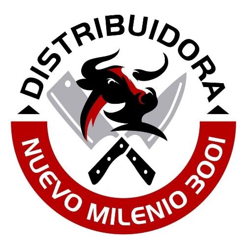 NUEVO MILENIO 3001, C.A