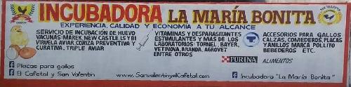 Incubadora La Maria Bonita