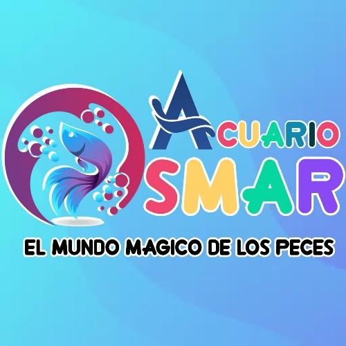 El mundo magico de los peces