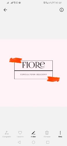 Fiore, Consultoea Belcorp