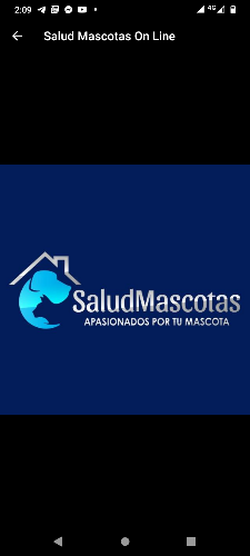 SaludMascotas Veterinaria 