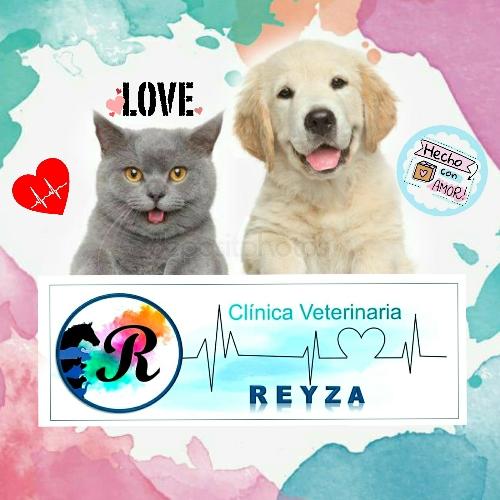 Clinica Veterinaria REYZA 