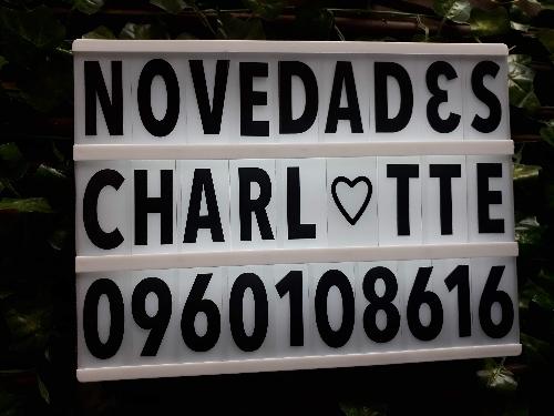 Novedades Charlotte 