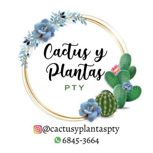 Cactus y Plantas PTY