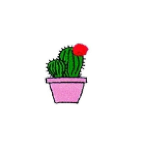 CACTUSCRASASLP