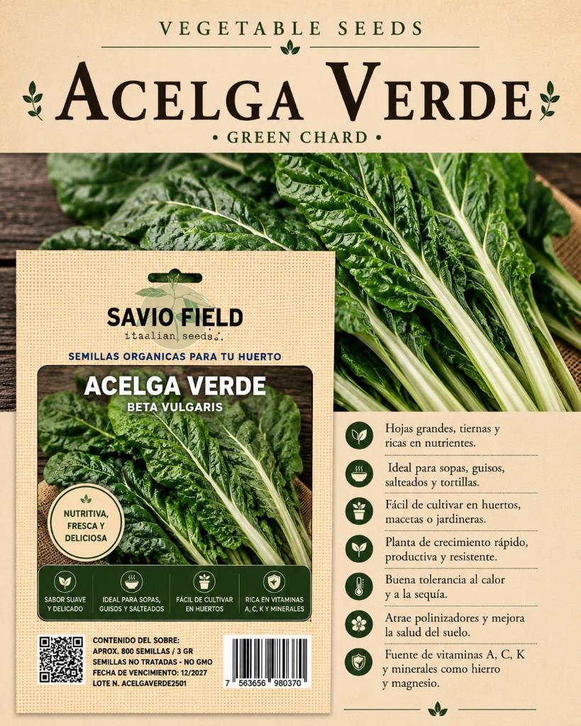 ACELGA VERDE ITALIANA