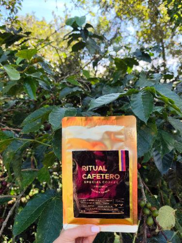 Miniatura 2 de 250 gr de Café especial variedad castillo en GRANO
