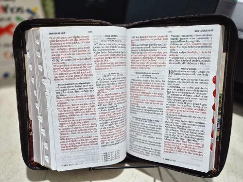 Miniatura 2 de Biblia tricolor fantasía, café oscuro y madera