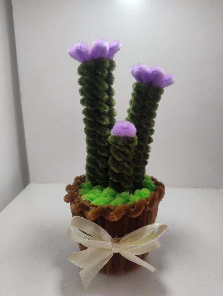 Miniatura 2 de Cactus