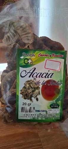 acacia x20gr cq