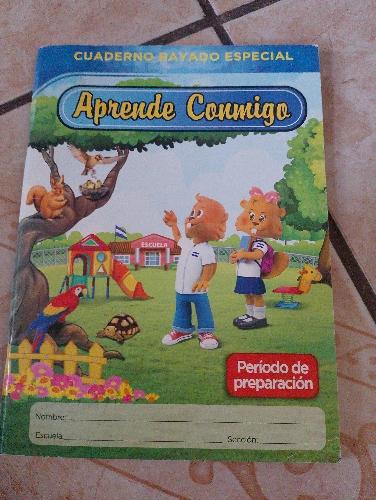 Aprende conmigo periodo de preparación