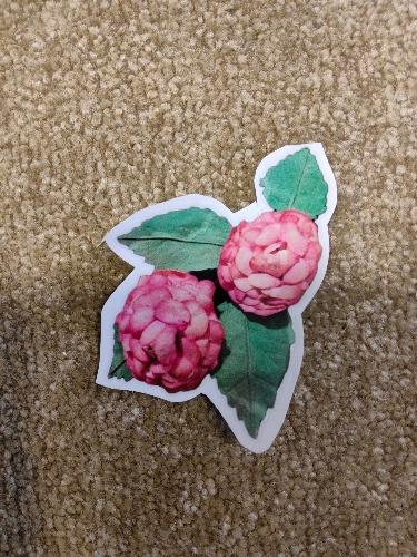 Adesivo Tima Poesia G (cravo)