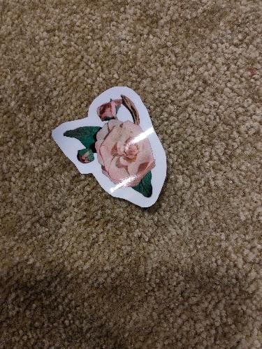 Adesivo Tima Poesia M (rosa com botão)