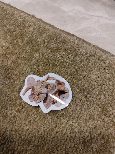 Adesivo Tima Poesia M (azul)