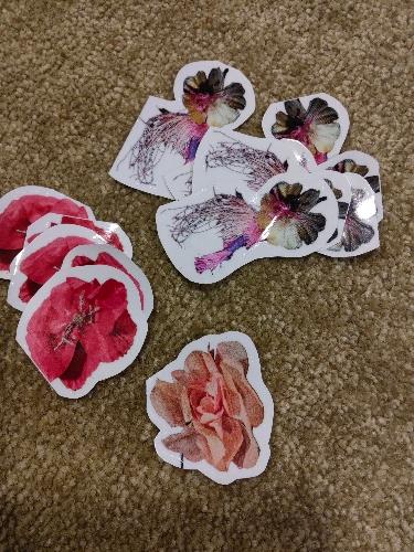 Adesivo Tima Poesia (pequenos defeitos)