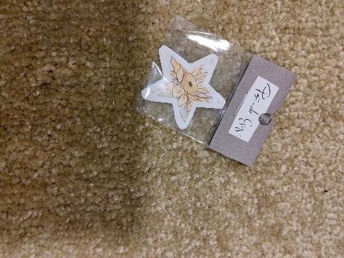 Adesivo Pó de Giz - estrela girassol