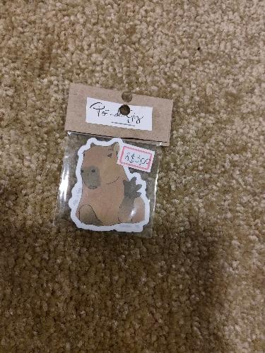 Adesivo Pó de Giz - capivara 1