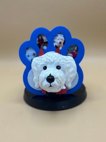 Miniatura 3 de Huella con la carita de tu mascota