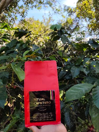 Miniatura 2 de 455 gr de Café especial variedad Castillo (molido o en grano)