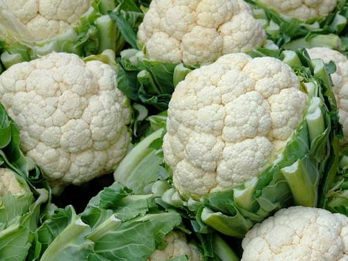Coliflor