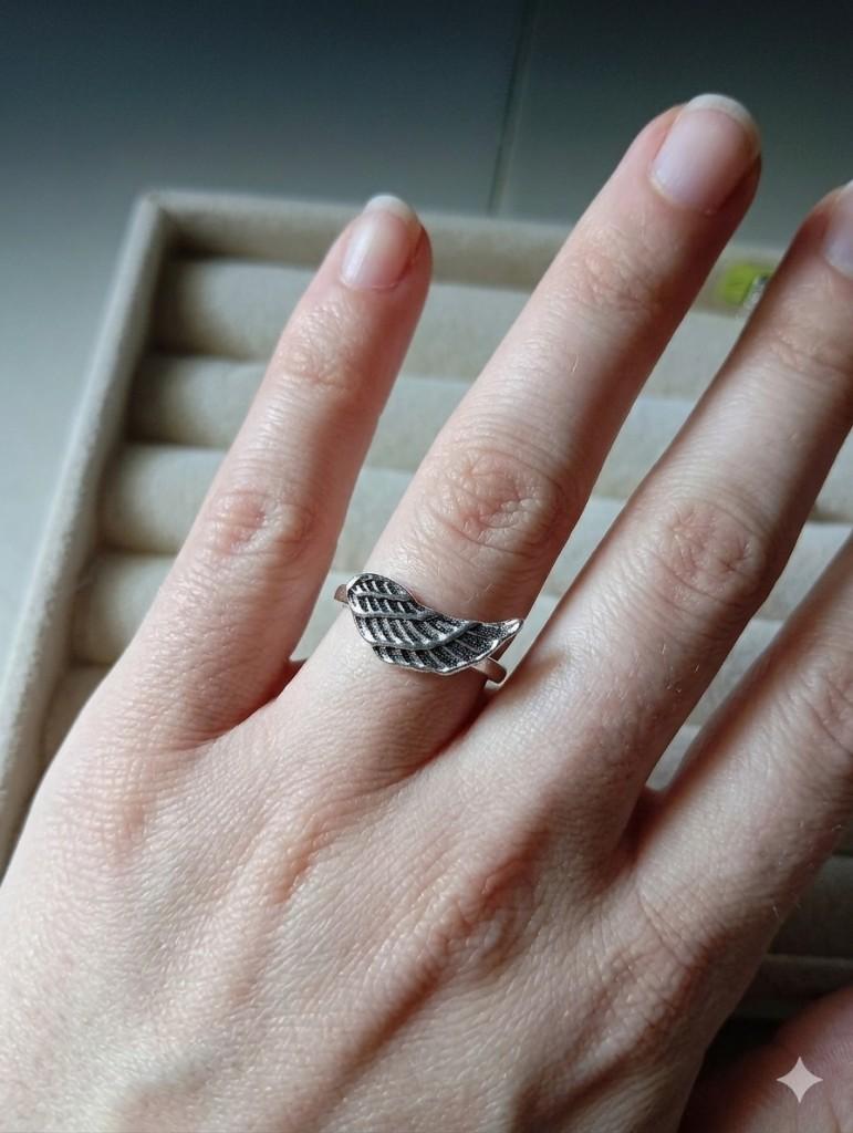 Anillo de Acero Inoxidable (Ala)