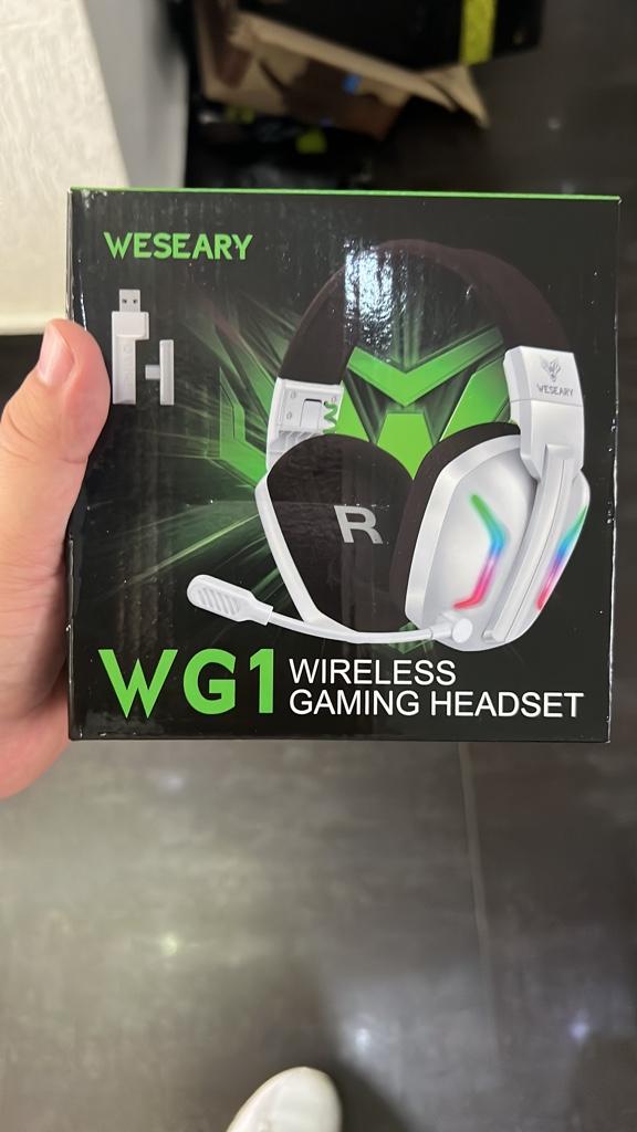 Audífonos wg1 inalámbricos