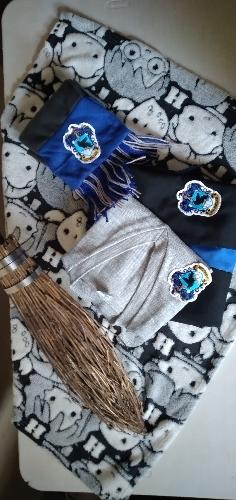 Bufanda polar Ravenclaw