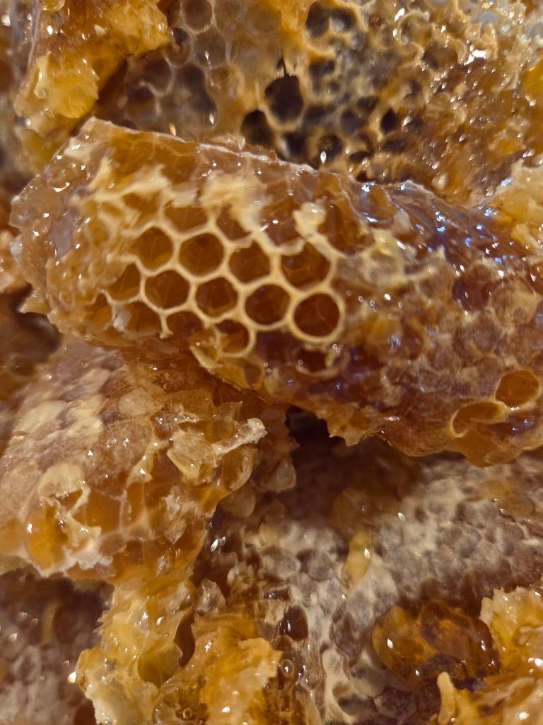 MIEL de Abeja (Litro)