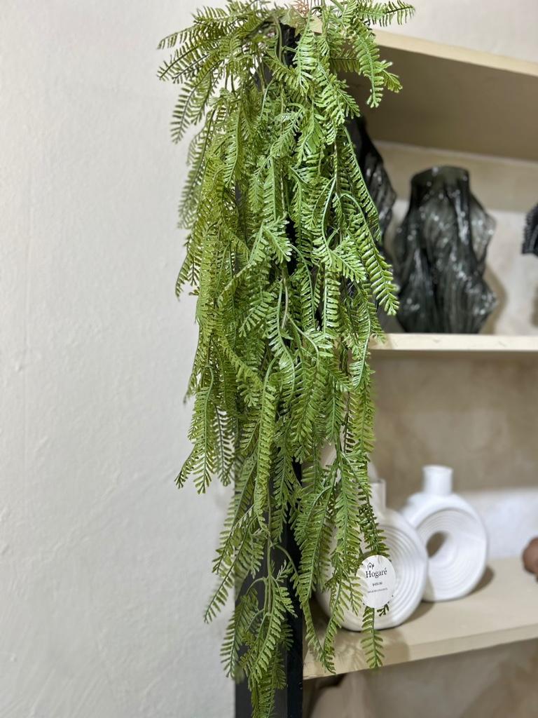 HG-AP001 Helecho colgante