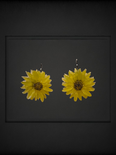 Girasol del alba
