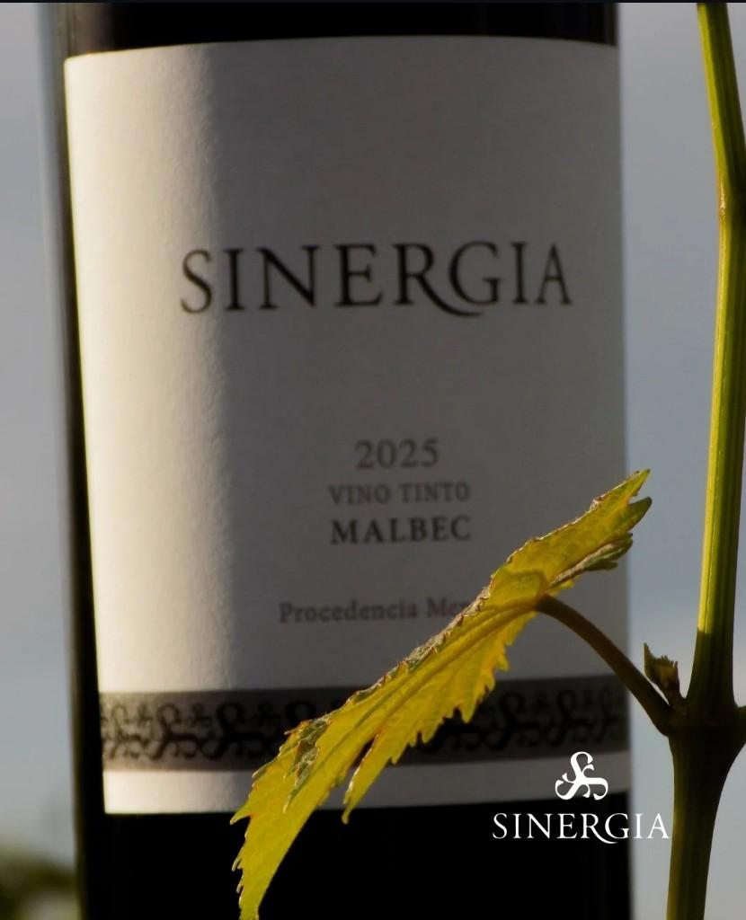 Miniatura 3 de Caja Cerrada x 6 Sinergia Varietal Malbec