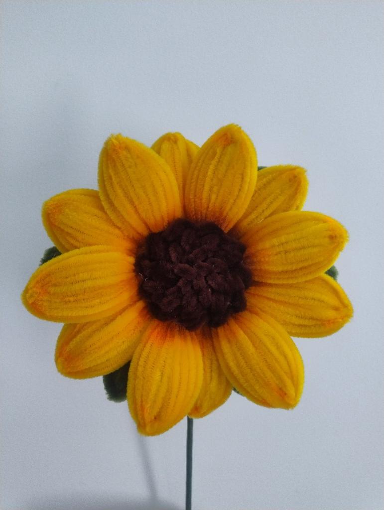 Girasol