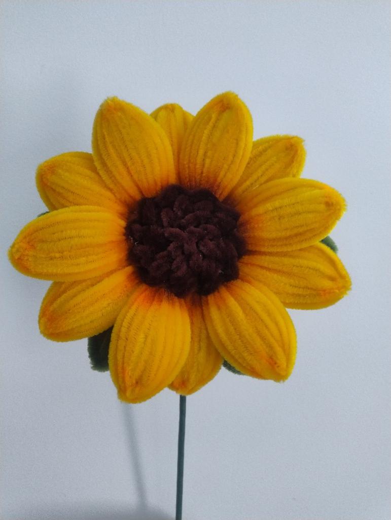 Miniatura 2 de Girasol