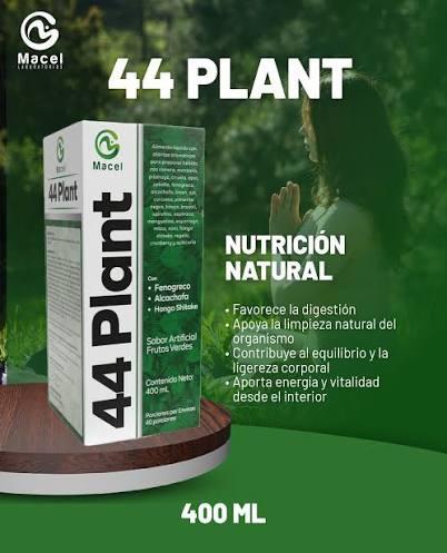 Miniatura 2 de 44 PLANT 400ML MACEL