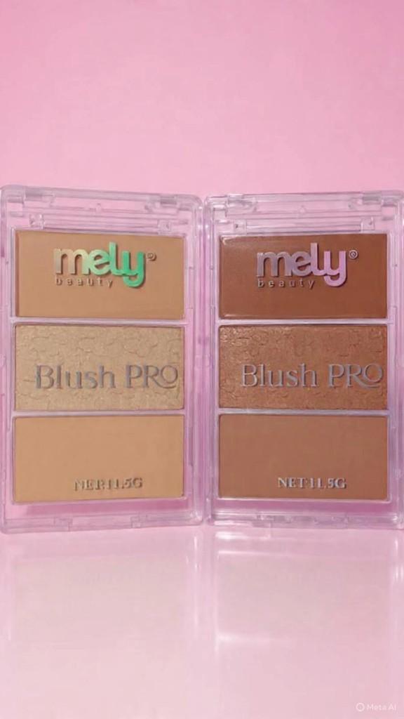 Blush PRO Mely Beauty (Crema, polvo y baked)