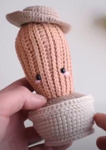 Miniatura 2 de Cactus