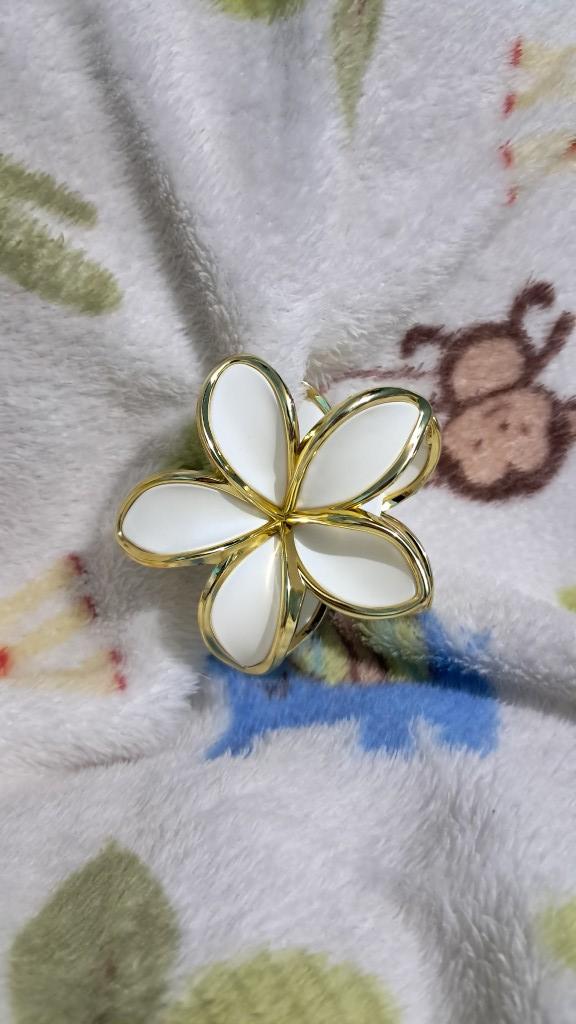 Miniatura 2 de Ganchos Elegantes