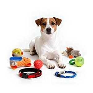 ACCESORIO N2