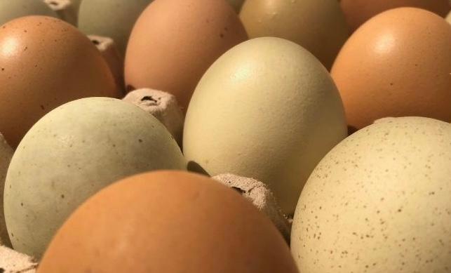 30 Huevos de gallina | Plumitas y Plumas