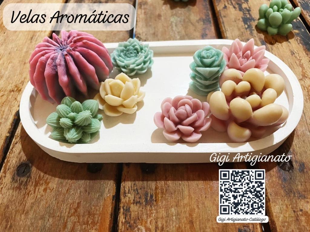 Miniatura 3 de Aromáticas suculentas