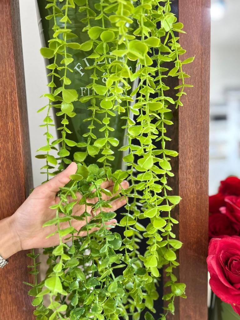 HG-AP002 Halgas colgantes