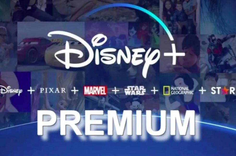 DISNEY+ PREMIUM CLIENTE FINAL
