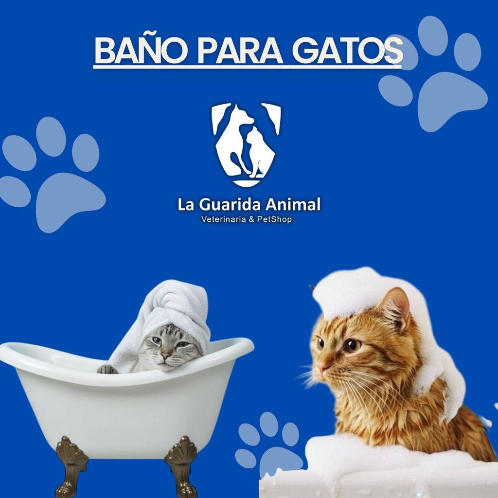 Baño Para Gatos