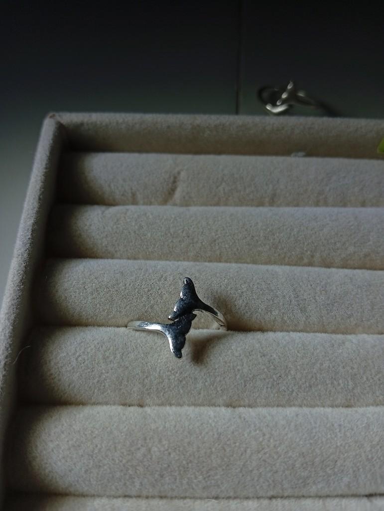 Miniatura 2 de Anillo de Acero Inoxidable (Aletas)