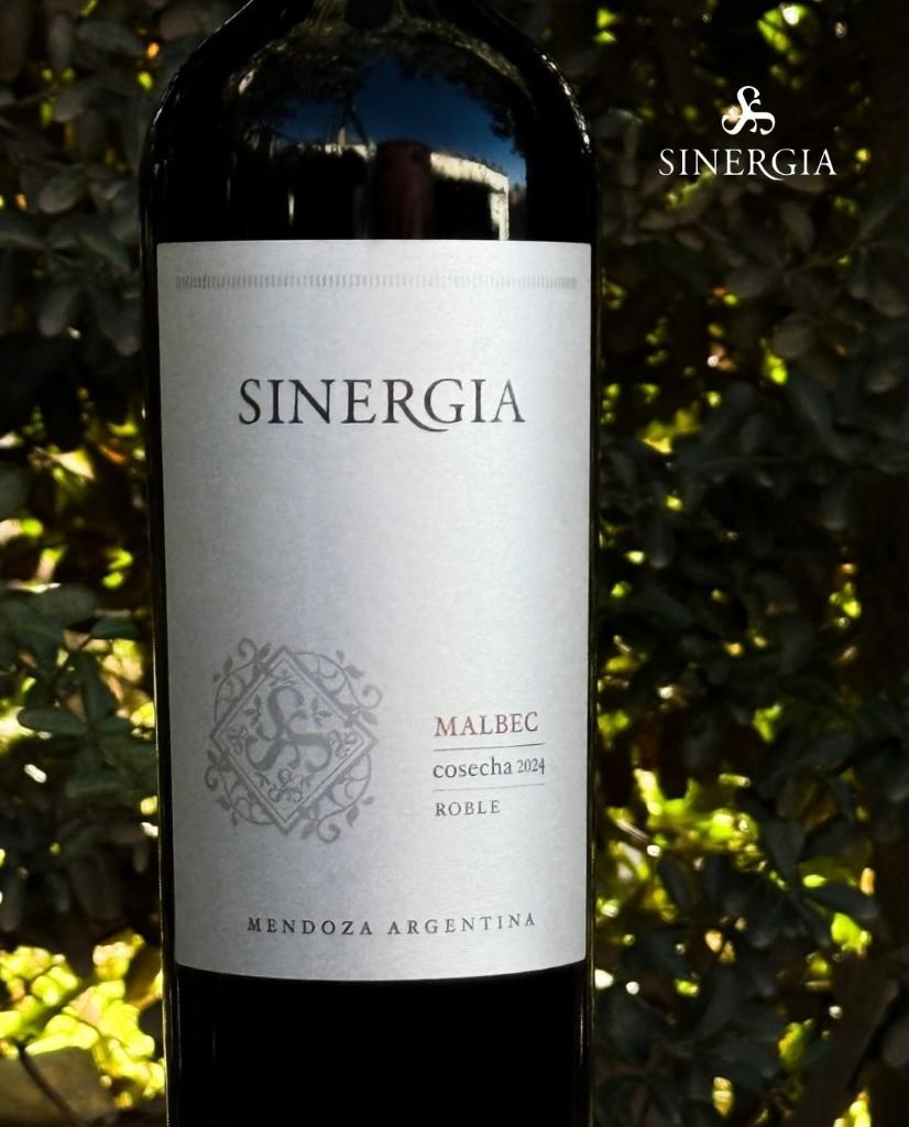 Miniatura 2 de Caja Cerrada x 6 Sinergia Malbec Roble