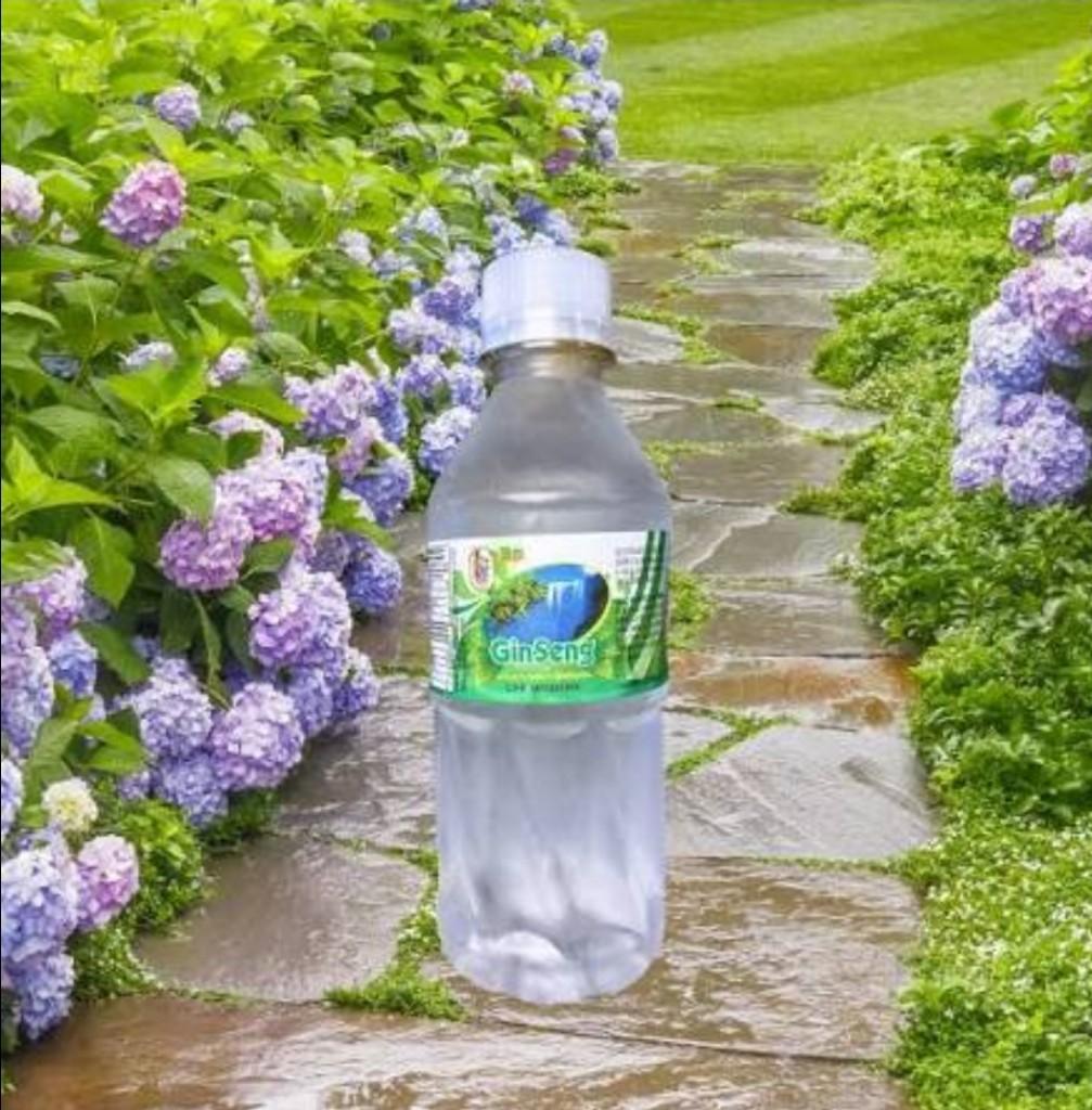 Agua Ginseng 330 ml