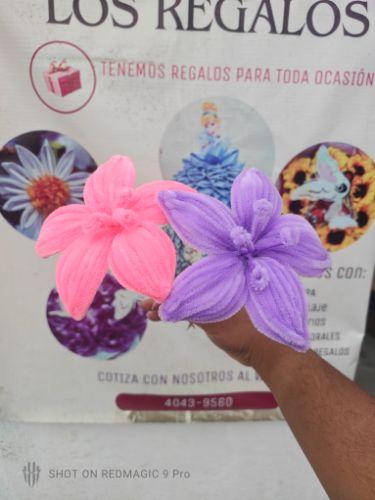 Miniatura 3 de Caja Premium Ramos de Limpiapipas