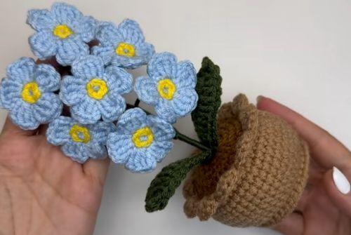 Cielo en casa (7 florecitas azules)