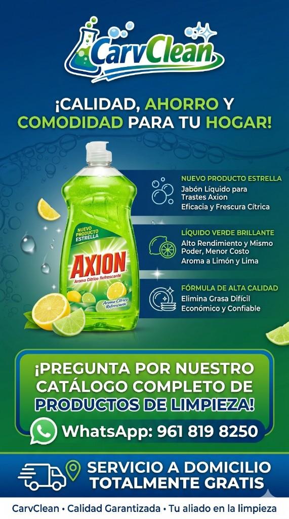 Axion